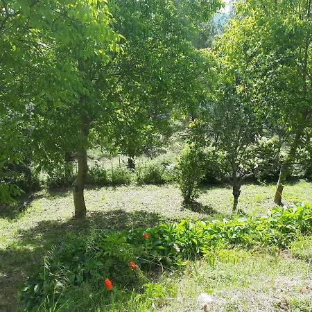 La Gioiosa Casa vacanze